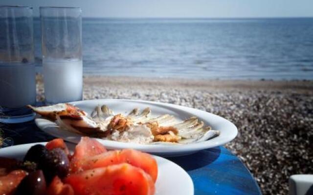 Evoikos beach & resort
