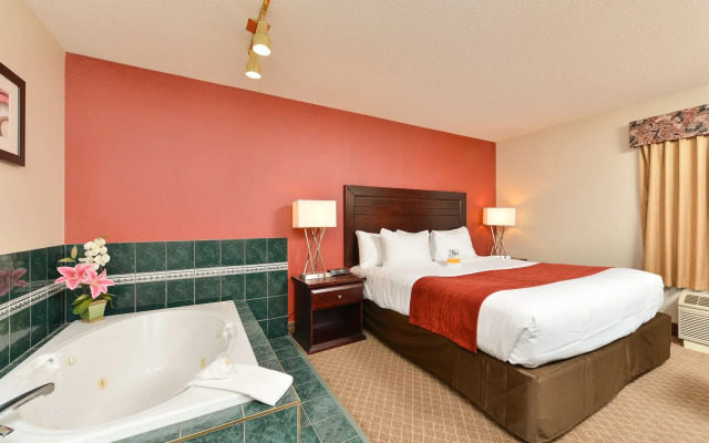 Comfort Inn & Suites Airport South
