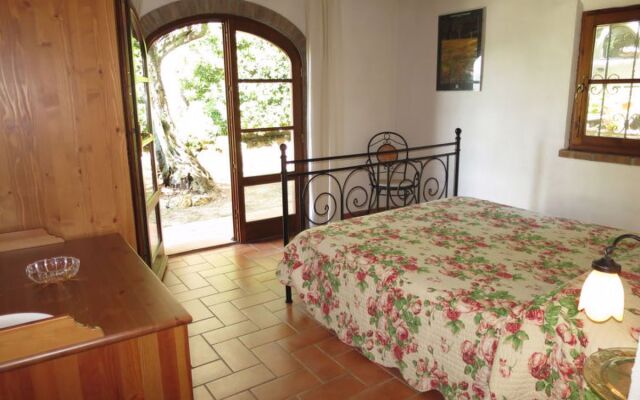 House Ulivo Montescudaio