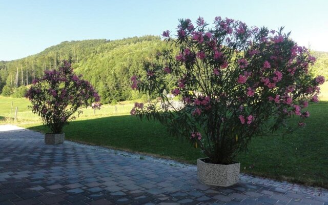 Ferienwohnungen Bachbauer