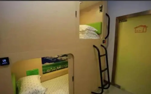 The Olive Tree Capsule Hostel