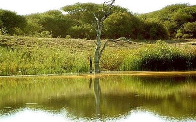 Hongonyi Private Game Lodge