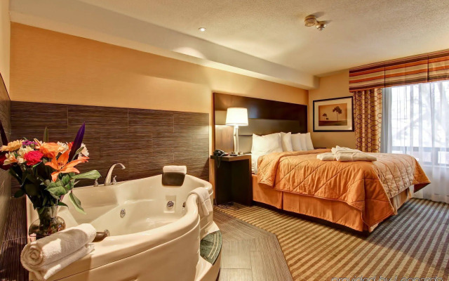 Comfort Inn East