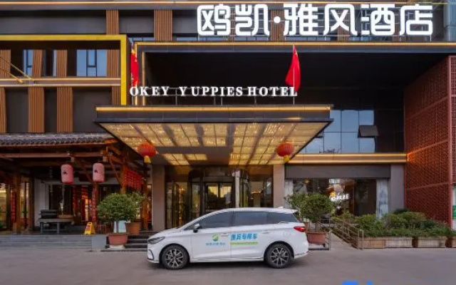 Nanyang Okey Elegant Style Hotel (Wanda Jianye Triumph Square Dushan Avenue Branch) – Exterior – Nanyang