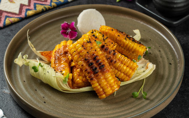 Radisson Blu Plaza Delhi Airport