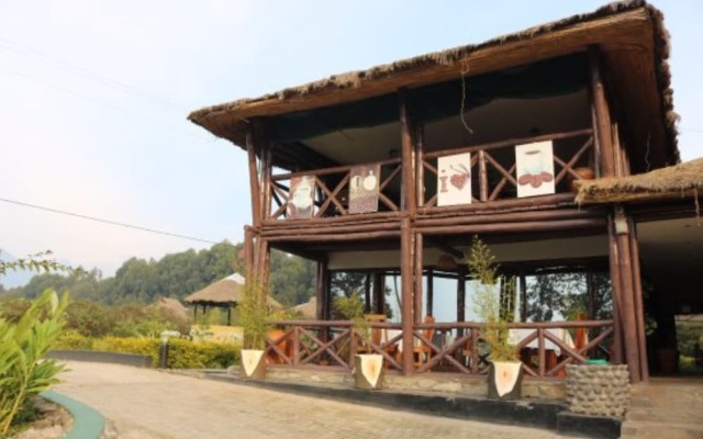 Da Vinci Gorilla Lodge