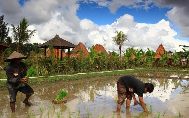 Ubud Heaven Penestanan