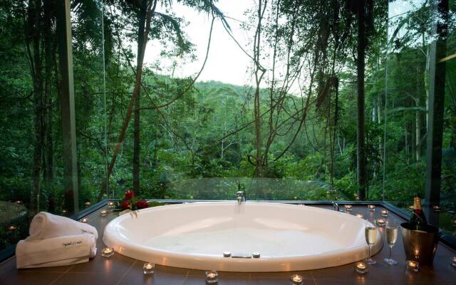 Crystal Creek Rainforest Retreat
