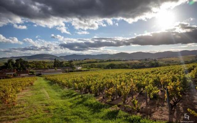 Les Glycines - Domaine Gilles Coperet