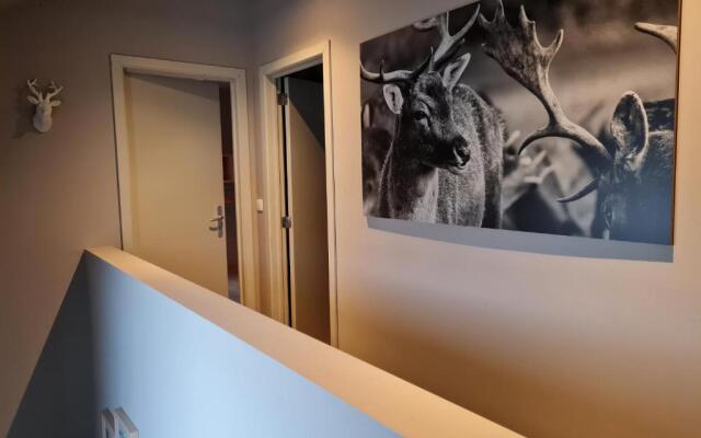 Ardennature vakantiehuizen met privé-sauna