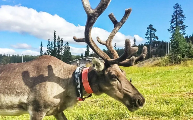 Rukatonttu d 13 Kuusamo