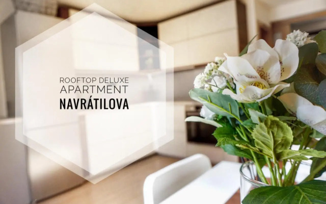 Rooftop Deluxe apartment