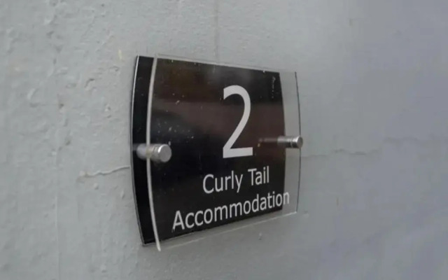 Curly Tail Accommodation