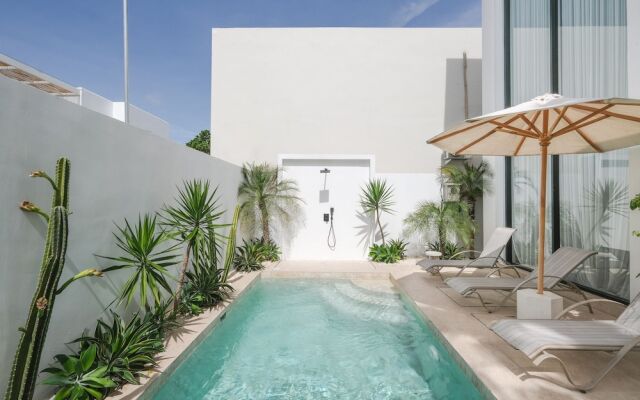 Limón & Cello Villa