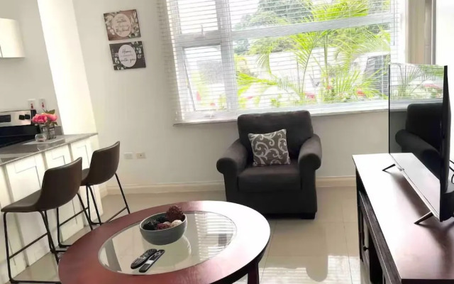 Modern 1BR Condo in Kingston
