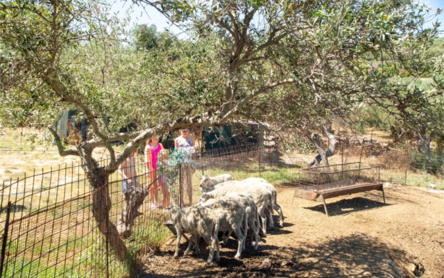 Отель Almyrida Village and Waterpark