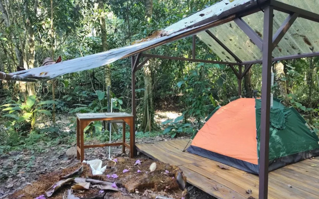 Cool Waters Jungle Camping