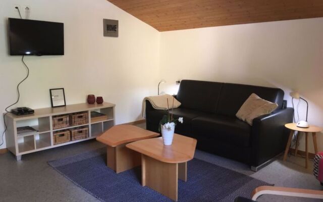Apartments Carmena 14143