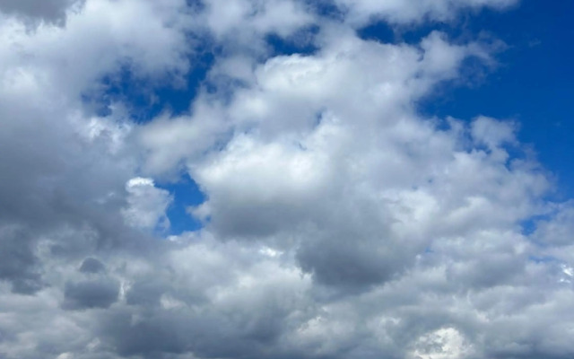 2-к Люкс в центре