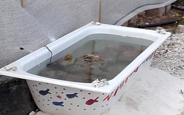 ResidenceU ZU GNAZIU