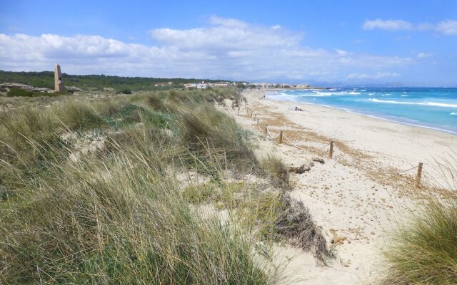 Mallorca Town House with Pool Beaches 20 Mints