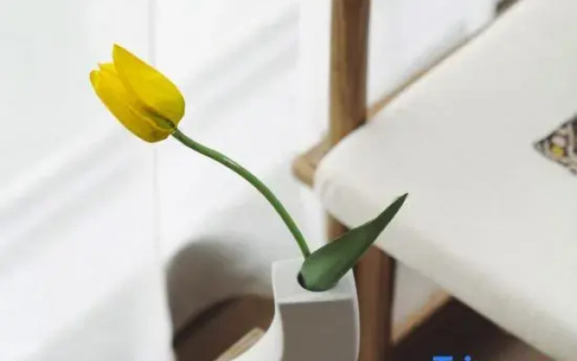 Yicai Jiaxiu Meisu Hotel (Guiyang Dashizi Jiaxiu Building)