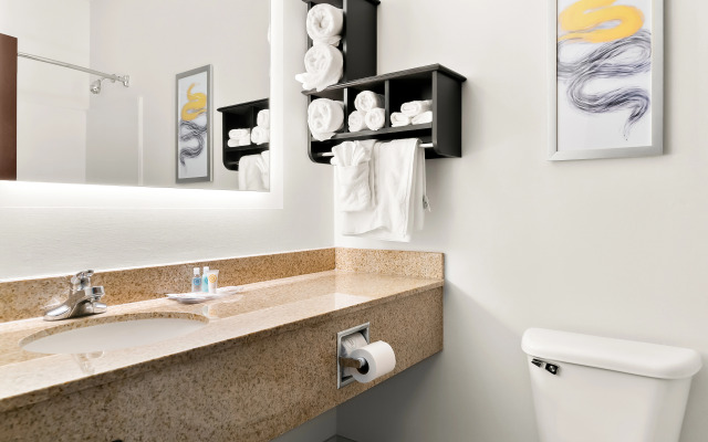 Comfort Suites Southfield/Detroit