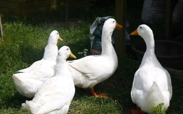 Naturalife Farm Hotel