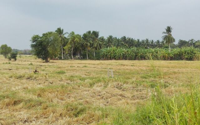 Salubrious Resort