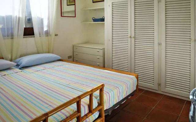 Mimosa Punta Sardegna