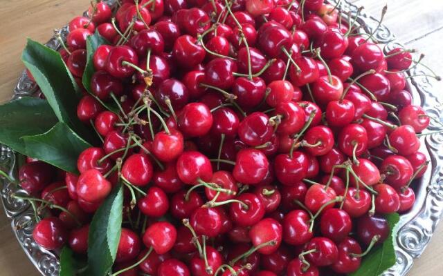 Apple Tree Family Home (ECO)