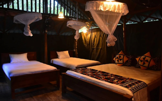 Lizard Safari Lodge
