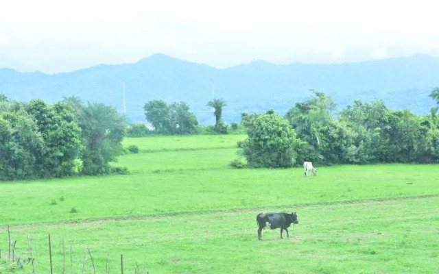 OYO HOME 92078 Pinky Homestay