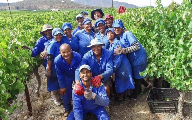 Excelsior Manor Guesthouse