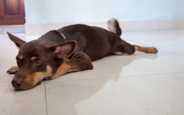 Vietnam Guide Home Hostel