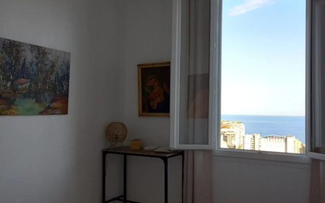 Amazing view - Monaco