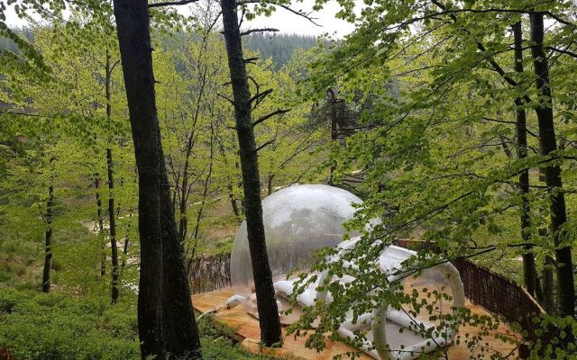 La bulle transparente - La Myrtille