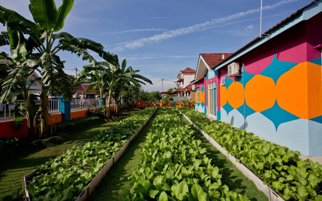 MBI Desaku Homestay