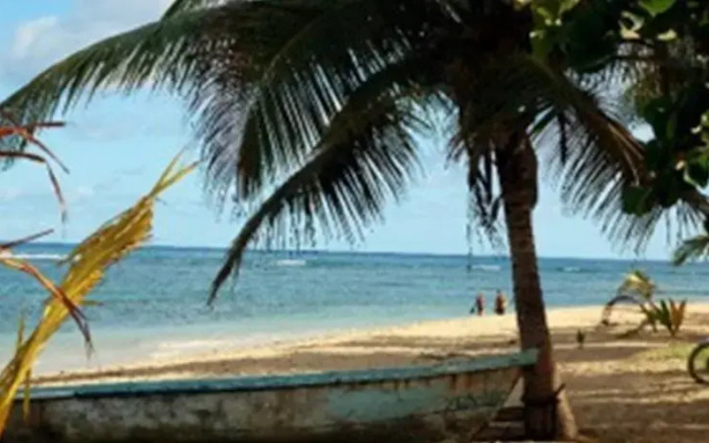 El Nido de Las Ballenas