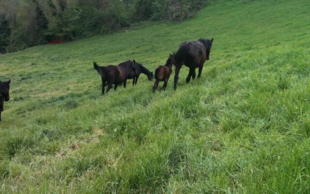 La Cittadella Dei Monti Sibillini