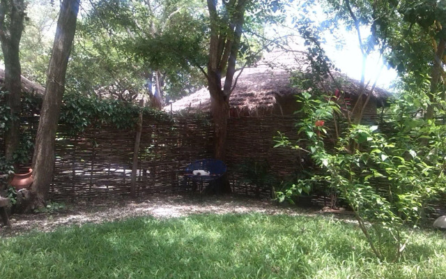 Evergreen Retreat