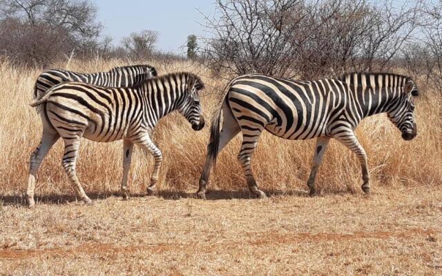 Sondela Nature Reserve & Spa Moselesele Tents
