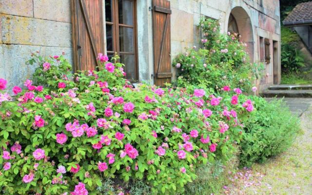 Au Temps de la Source