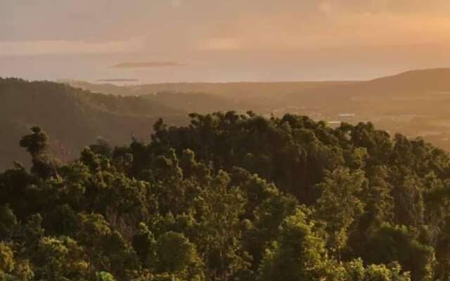 Serenity Rainforest Retreat