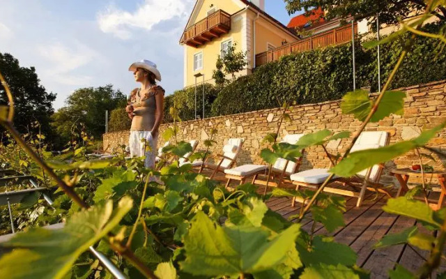 Winzerhaus Friedrich