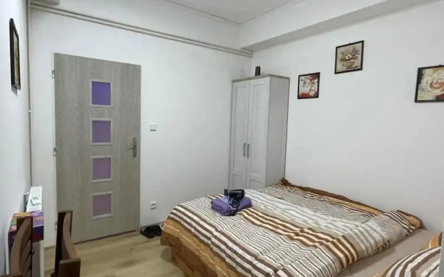 Cozy Studio in Zizkov, Prague