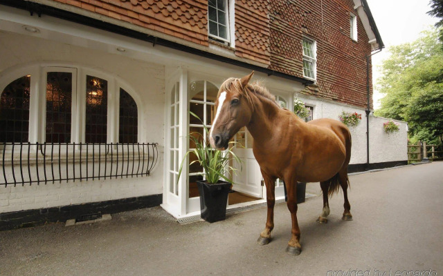 Moorhill House Bed & Breakfast