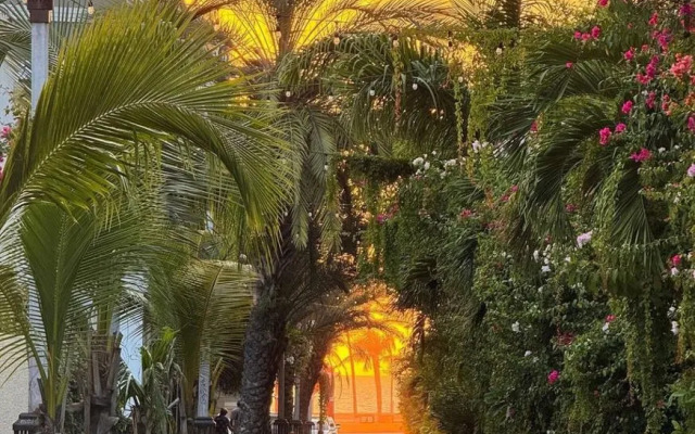 Best Western Posada Freeman