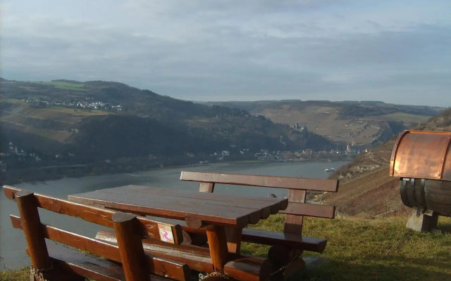 Schau-Rhein#1 - On top of Bacharach, Rhineview