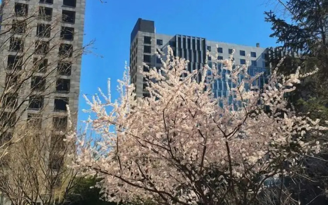 Beijing Yilejia Apartment